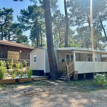 La Cabane Des Pins Lège-Cap-Ferret エクステリア 写真