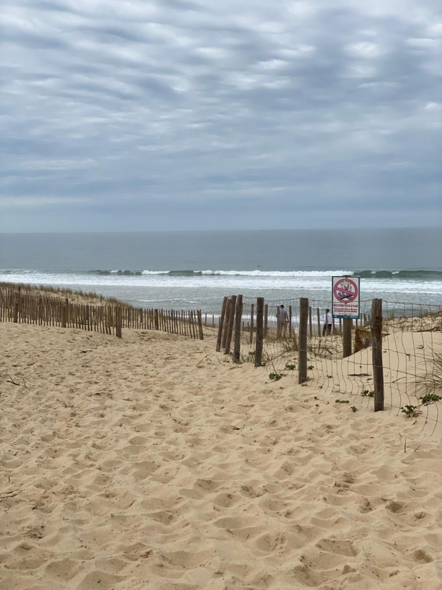 La Cabane Des Pins Lège-Cap-Ferret エクステリア 写真