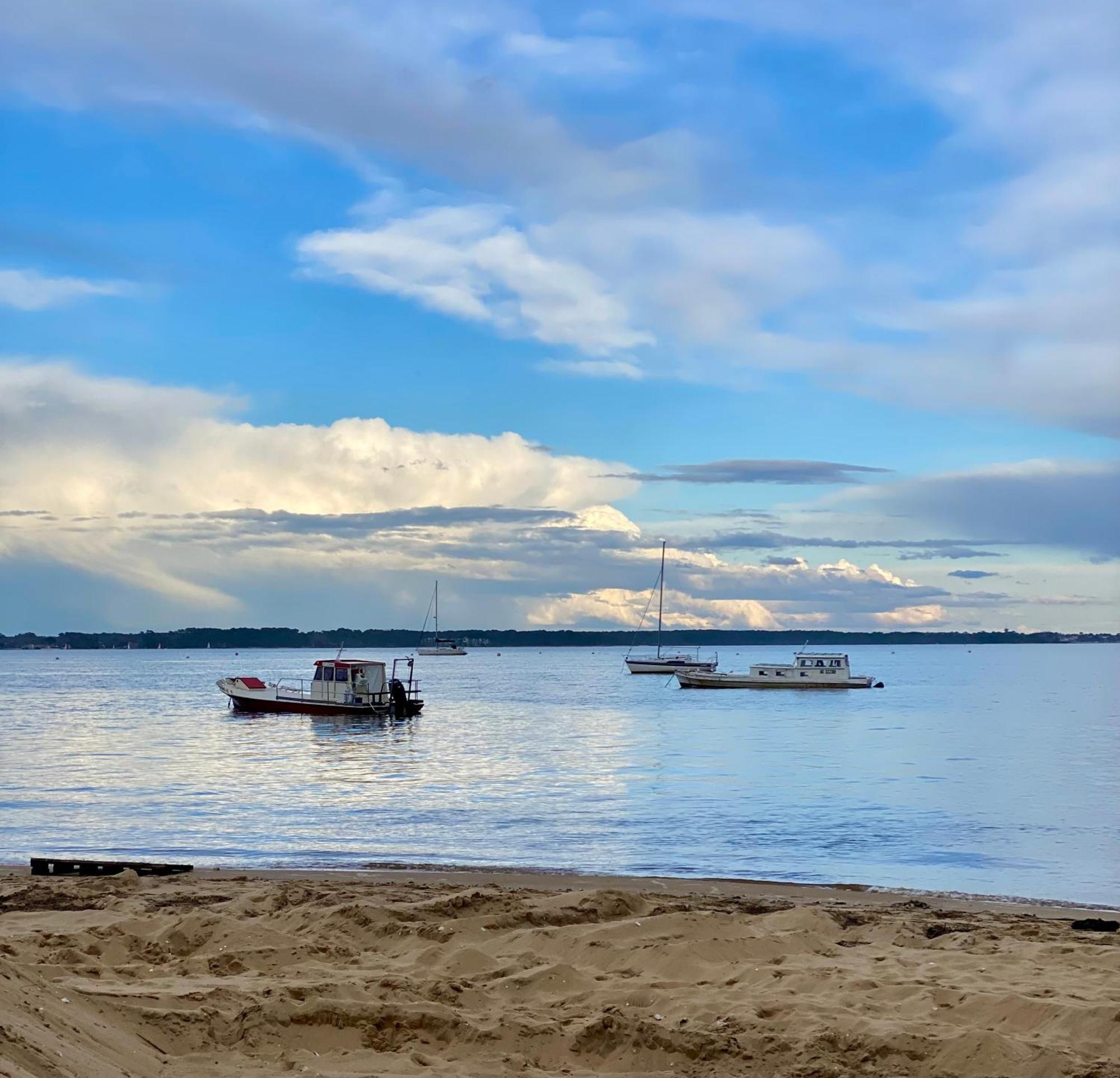 La Cabane Des Pins Lège-Cap-Ferret エクステリア 写真