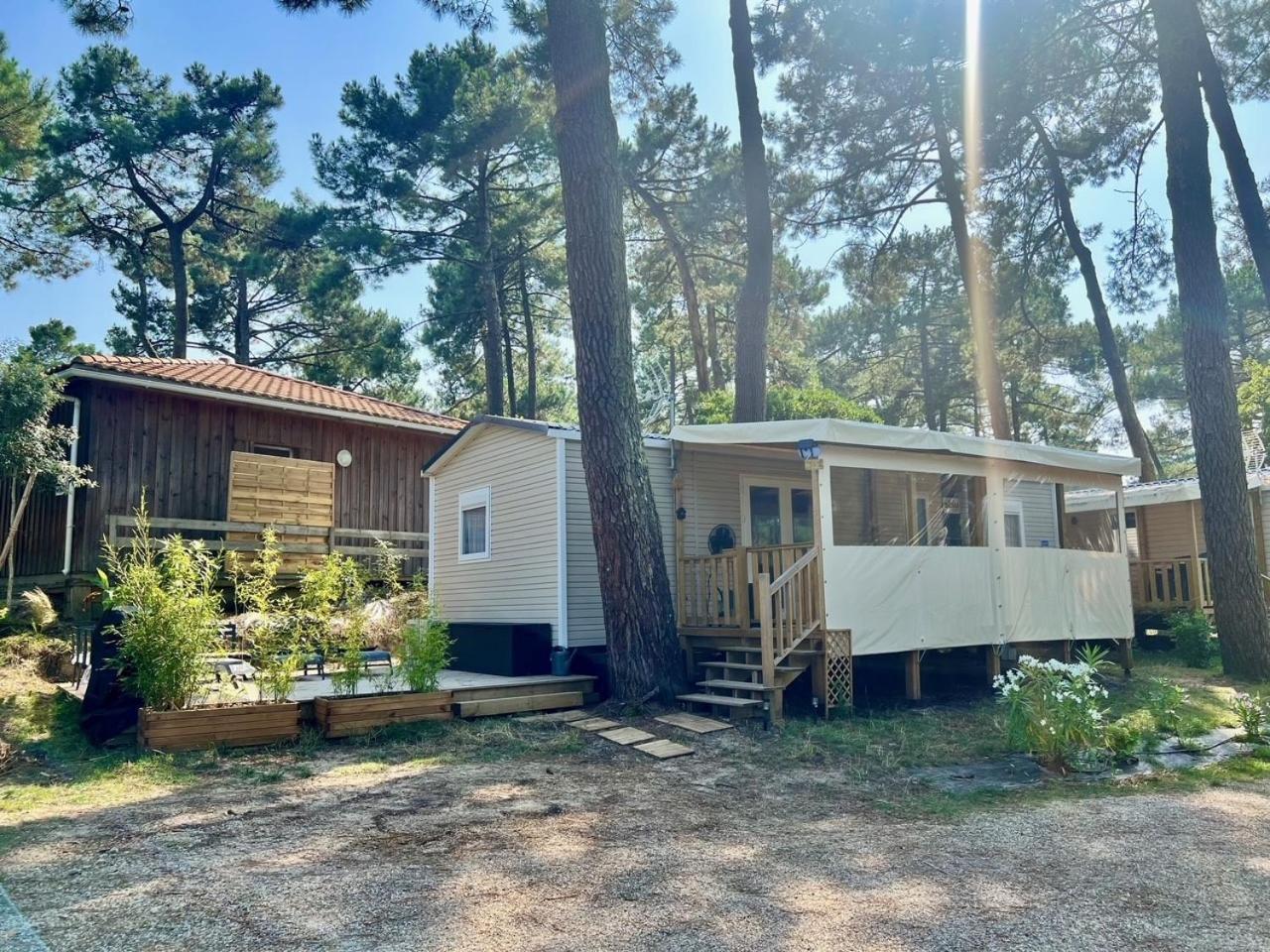 La Cabane Des Pins Lège-Cap-Ferret エクステリア 写真